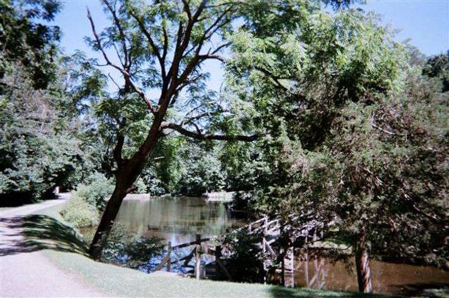 Millpond: One of a kind estate in Bellvale View of pond from the drive.