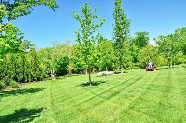 Lawn fertilizing laws and cautions Lawn fertilizing laws and cautions