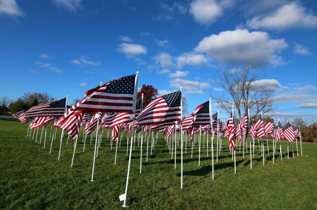 Warwick Valley Rotary Club's Flags for Heroes deadline extended to Aug. 15 File photo by Roger Gavan Last year 125 flags were flying proudly with plaques identifying each hero at the intersection of Route 94 South and County 1.