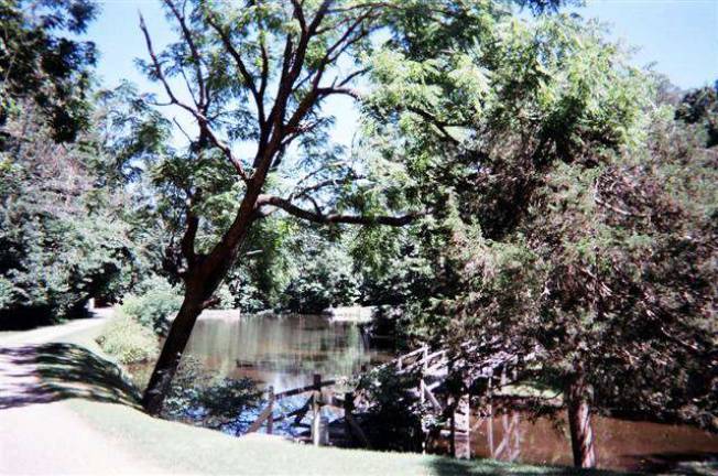 This wonderful property includes a pond, woods, waterfall, stream and three homes This wonderful property includes a pond, woods, waterfall, stream and three homes