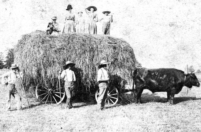 Tractor parade on May 12 to open 'This Land is Farmland'exhibit at Warwick Historical Society Members of the Pelton Family at work in the fields in this undated photograph provided by the Warwick Historical Society. On Saturday, May 12, the historical society opens its exhibit, "This Land is Farmland," which celebrates Warwick's farming community.
