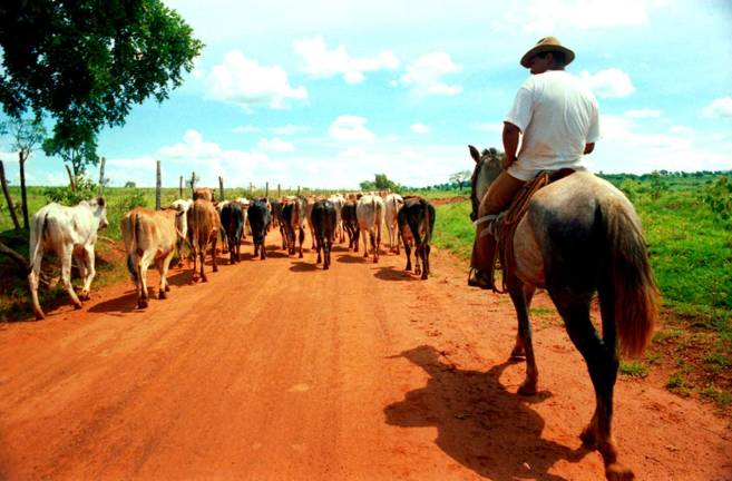 Award winning professional photographer, artist Star Nigro featured at SUNY Orange gallery This is a photograph by Star Nigro of a herder in Minas Gerais, Brazil.