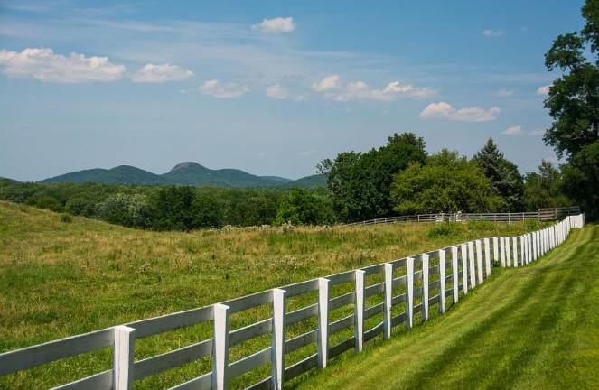 A view from Bellvale Farm. Photo: Debra Wallace