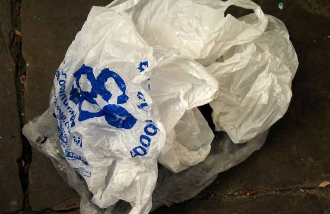 Town working on revisions to carryout bag proposal The Town of Warwick has adjourned its public hearing on the proposal to charge five cents per paper or plastic bag provided at checkouts throughout the town while it incorporates revisions to the proposed law.