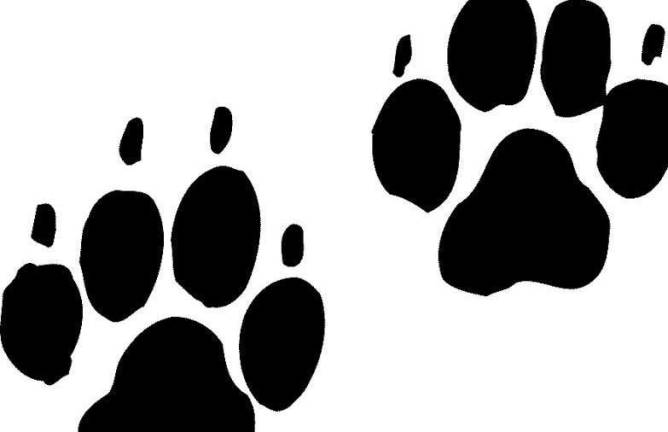 Warwick Valley Humane Society plans series of events Warwick Valley Humane Society plans series of events