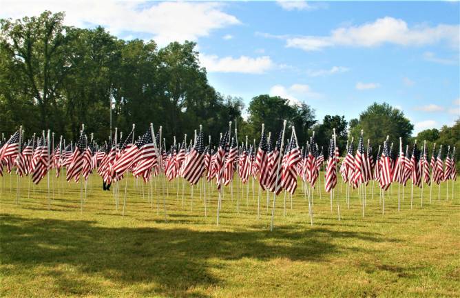 Flags in the Flags for Heroes display on Route 94.