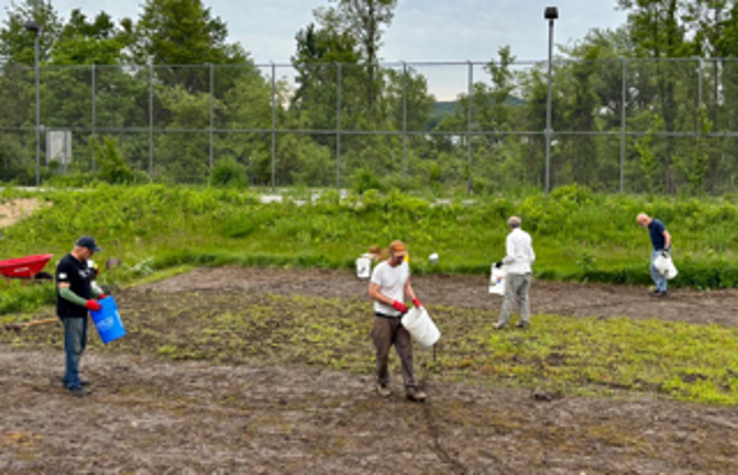 Pollinators are planted Vounteers in Wickham Woodlands Park