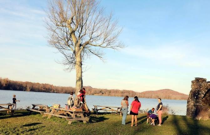 Time for a family picnic at Wickham Woodlands