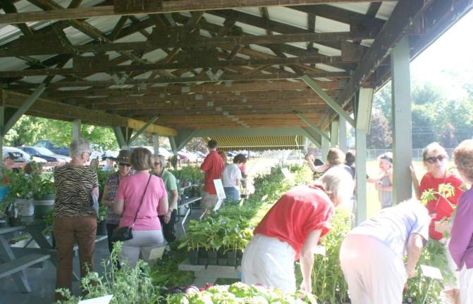 Get your plants at Warwick Valley Gardeners sale Get your plants at Warwick Valley Gardeners sale