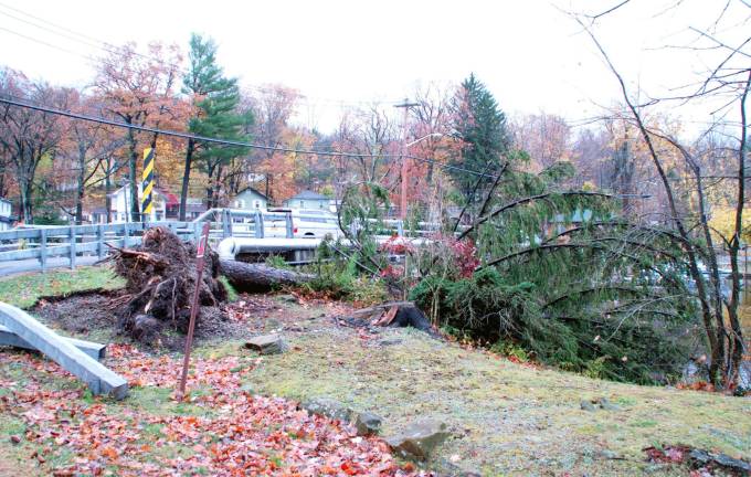 In Sandy’s wake Photo by Ed Bailey Tree down by the bridge in Greenwood Lake.
