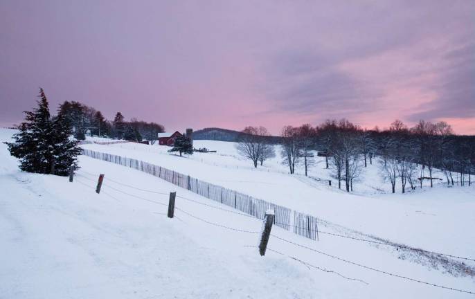 Pink skies Pink skies