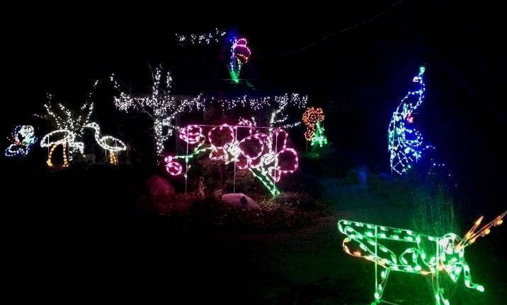 'Holiday Lights in Bloom' at the OC Arboretum Begins Nov. 23 Holiday Lights at the at the arboretum (Photo provided)