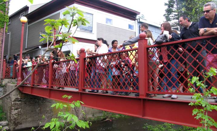 Just ducky, and then some Crowds watching from the Carriage Path Bridge.