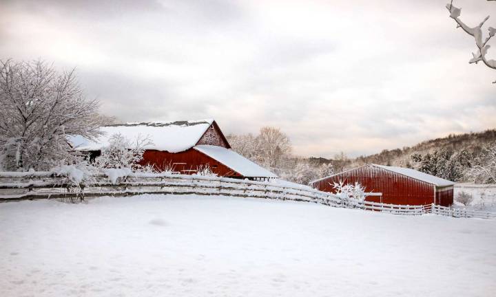 The color of snow Toni Vogel titled this image of the Amity Farm "The morning after the storm," taken in the wake Winter Storm Quinn.
