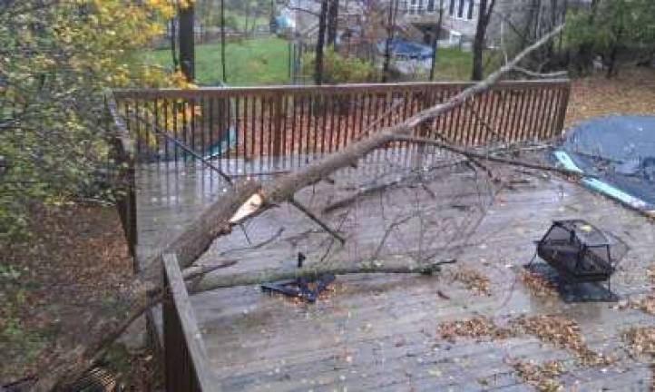 Orange County weathers Sandy Chester resident Mike Cordero sent us this photo of a tree brought down by Hurricane Sandy on 10/29/2012.