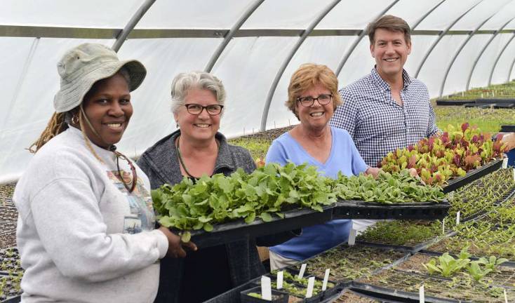 Orange County Land Trust to honor Ralph E. Ogden Foundation at June 17 reception Provided photo Karen Washington, left, of Rise & Root Farm, with Bea Stern, Lisa Stern and Michael Bruno showcase just some of the organic vegetables and herbs grown in the rich black dirt soil at the Chester Agricultural Center. The Orange County Land Trust will honor the Stern family of the Ralph E. Ogden Foundation at the OCLTþÄôs Annual Benefit Reception and Auction for their support of the CAC. Michael Bruno is the Benefit Chair for the event, to be held Friday, June 17, at the Falkirk Estate and Country Club in Central Valley.