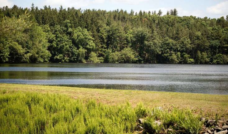 Watershed hike: Explore the Port Jervis watershed on June 16 Photo by Michael Ward The Outdoor Club of Port Jervis and Orange County Land Trust will host a guided hike of the Port Jervis Watershed Park on Saturday, June 16, from 10 a.m. to 1 p.m.