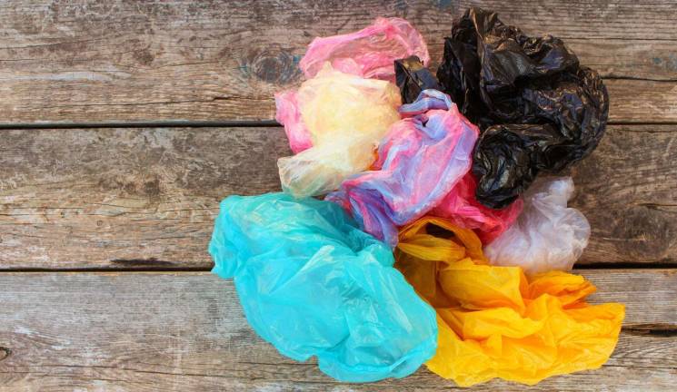 Single-use carry-out bag fee not on the ballot Photo illustration The Town of Warwick has withdrawn a referendum for a proposed five cents fee on all carry-out bags within the town, and instead look to Orange County to take such action.