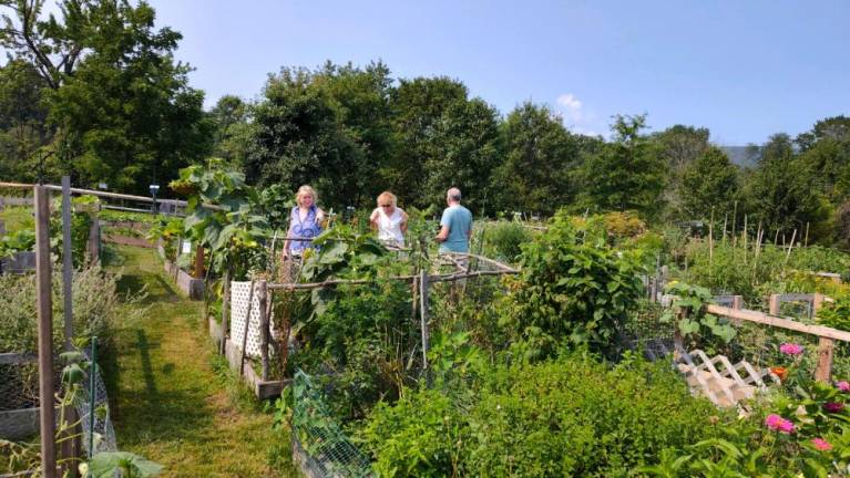 Backyard gardeners open their gates for Kitchen Garden Tour WM2 Garden peepers tour the Organic Community Garden at Wallisch Homestead in West Milford. (Photo by Jim Segal)