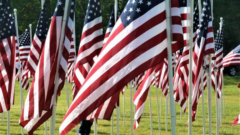 Warwick Valley Rotary Club presents Flags for Heroes display Warwick Valley Rotary Club presents Flags for Heroes display
