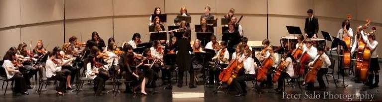 Juilliard musicians join Youth Symphony in concert on May 4 Photo by Peter Salo The next performance of the Southern Hudson Valley Youth Symphony will be on Sunday, May 4, at Monroe-Woodbury High School in Central Valley.