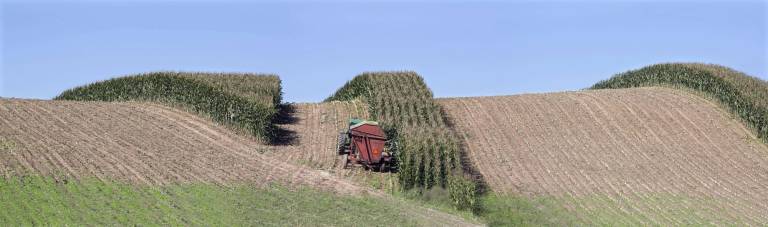 Harvesting Harvesting