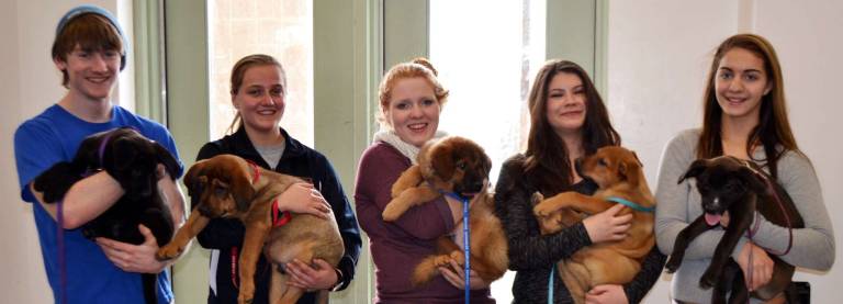 Angels in waiting Shown in photo are Warwick Valley High School students Ryan Colgate, Caroline Seeberg, Bridget Scheinert, Ellie Tucker and Devin Forman with some of the puppies who are waiting to be adopted.