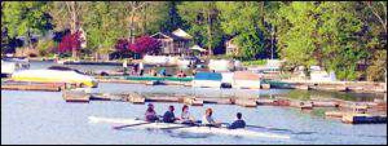 Beautiful day for a row Beautiful day for a row
