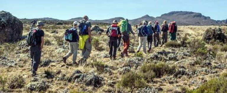 Yvonne Vandenberg of the Village of Florida and group of fellow hikers trek across the Shira Plateau on the third day of their journey to climb to the top of Mt. Kilimanjaro.