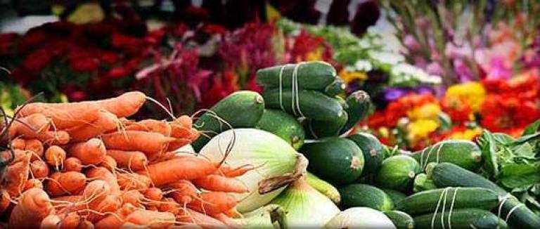 Warwick Valley Farmers Market opens May 12 Photo illustration
