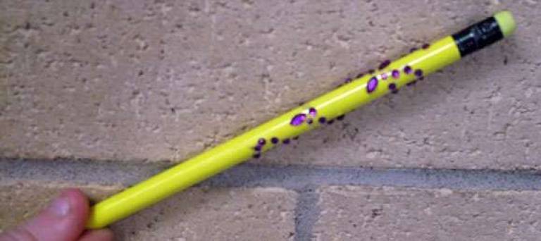 TREP$ marketplace opens Saturday A custom-designed pencil.
