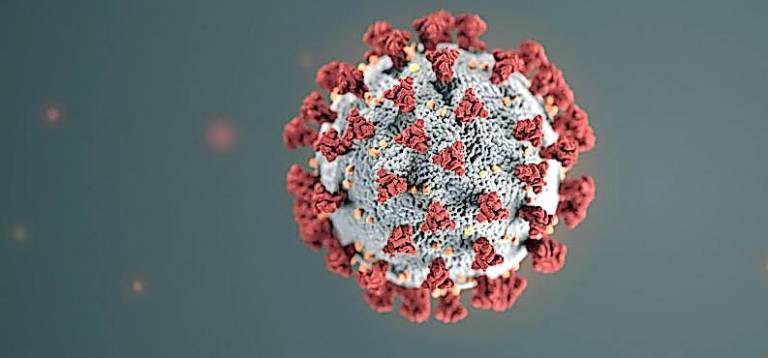 Health Department confirms first COVID-19-related death in Orange County Health Department confirms first COVID-19-related death in Orange County