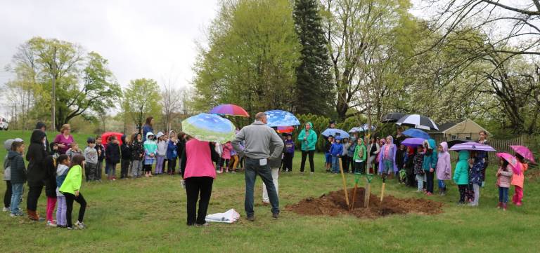 Trees grow in Warwick Photo by Roger Gavan It seldom rains on Arbor Day in the Village of Warwick. But on Friday, April 26, a group of first grade children and their teachers from Park Avenue Elementary School stood in light rain that morning to celebrate the planting of a Yellow Wood tree at the Roger Metzger Arboretum in Stanley-Deming Park.