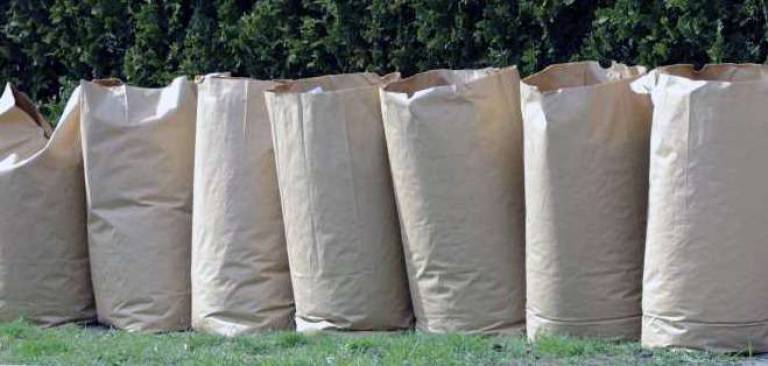 Village of Warwick brush disposal program begins March 31 Village of Warwick brush disposal program begins March 31