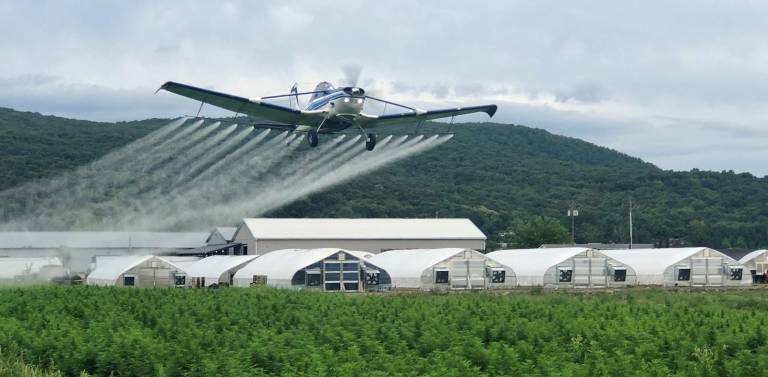 A crop duster sprays the fields off Pulaski Highway in Pine Island, a reminder of agriculture's prominent role in the local economy.