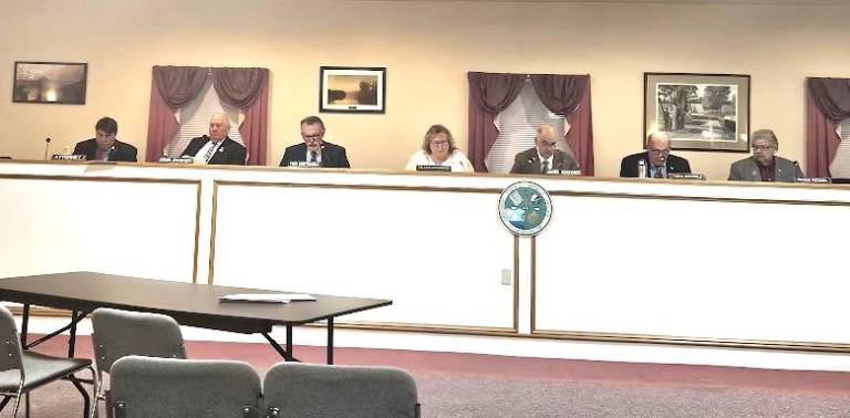 The Warwick Town Council met on March 28 to discuss trees, health and safety, and grant initiatives, among other topics.