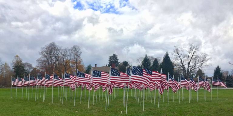 Flags for Heroes are up and flying proudly Photos by Terry Reilly Sea of Flags: The Warwick Valley Rotary Club Flags for Heroes at the intersection of Route 94S and County 1.