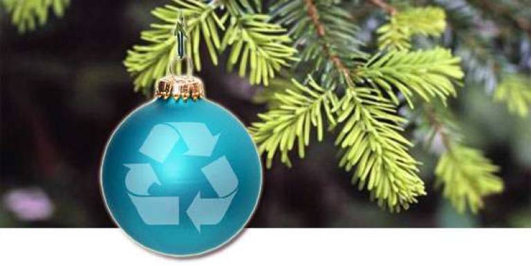 Christmas tree disposal Christmas tree disposal