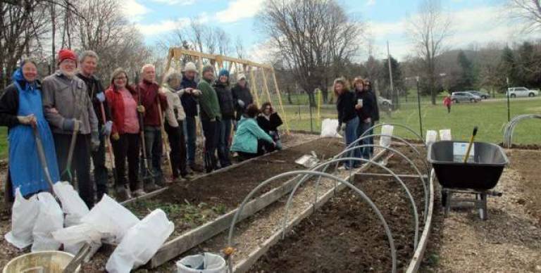 Photo provided by Geoff Howard Some of the Garden members planting peas and lettuce at the start of the season.