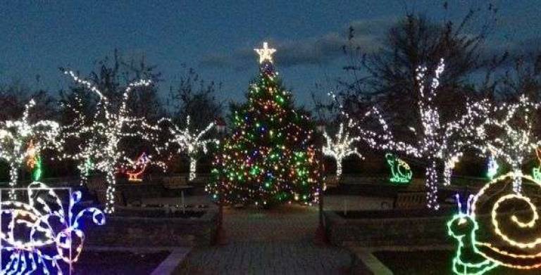 'Holiday Lights in Bloom' at the OC Arboretum Begins Nov. 23 Holiday Lights at the at the arboretum (Photo provided)