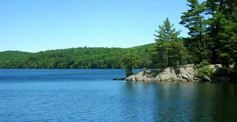 Library expands free pass program to museums, gardens and exhibits GREENWOOD LAKE. Empire Parking Passes have now been added to the list of Free Family Fun Passes available to patrons of the Greenwood Lake Public Library. Provided photo The Greenwood Lake Public Library has added Empire Parking passes to its list of free family fun passes available to resident patrons. The pass provides unlimited day-use for vehicle entry to most facilities operated by New York State Parks, such as Sterling Forest State Park.