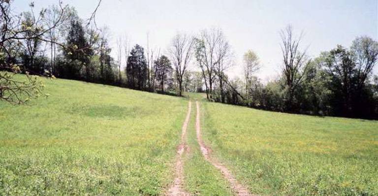 Raynor Country is showcasing 76-acre parcel in Warwick Raynor Country is showcasing 76-acre parcel in Warwick