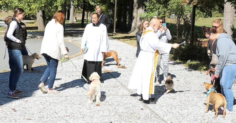 St. Stephen’s Pastor, the Rev. Jack Arlotta, assisted by Parochial Vicar Rev. Reynor Santiage, blessed each animal individually.