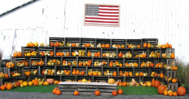 Pumpkin season in Warwick Pumpkin season in Warwick