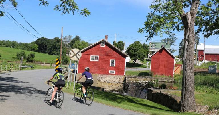 More than 500 cyclists participate in Orange County's Farm to Fork Fondo Cycling past the picturesque Baird Farm.