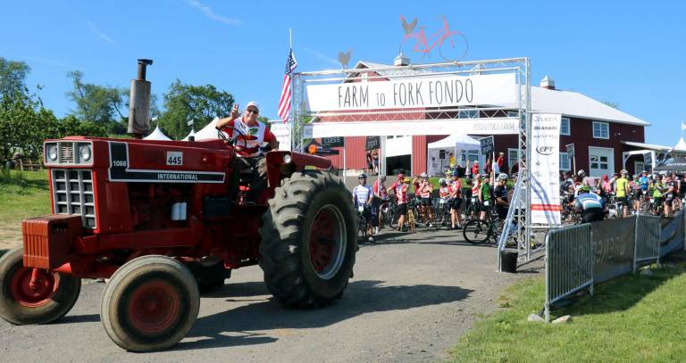 More than 500 cyclists participate in Orange County's Farm to Fork Fondo After a short countdown, Steve Pennings, driving his antique tractor, led the group down the hill from the Cidery to Warwick Turnpike.
