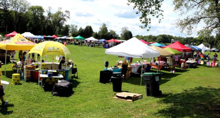 Play for the Park Summerfest raises more than $15,000 The weather cooperated and committee members believe the number of people visiting Play for the Park Summerfest held at Warwick Town Park could easily be over a thousand.