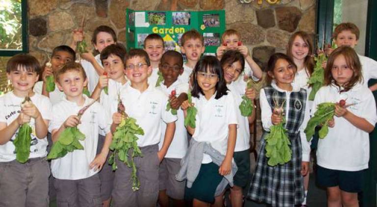 St. Stephens grows community gardeners, teaches social responsibility Community gardeners: Pictured here are students from third grade at St. Stephen's School in Warwick, beginning in the first row from left: Matthew Eugenio, Kyle Trapp, Aidan Loeffler, Ryan Tashman, Ethan Forde, Kate Ryan, Luna Charleman, Lila Vega and Kyleigh Weiss; and in the second row: Christopher Hernandez, Jacob Lujbli, Dominick Mele, Gavin Fryer, Robert Nelson, Devin Murray and Steven Goldstein.