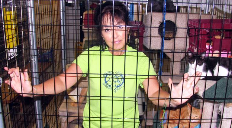 Warwick Valley Humane Society faces crisis with too many cats Photo by Roger Gavan "We need the community's support," pleads Suzyn Barron, president of the Warwick Valley Humane Society. "We are drowning in cats and kittens and we cannot afford their upkeep with litter and cat food."