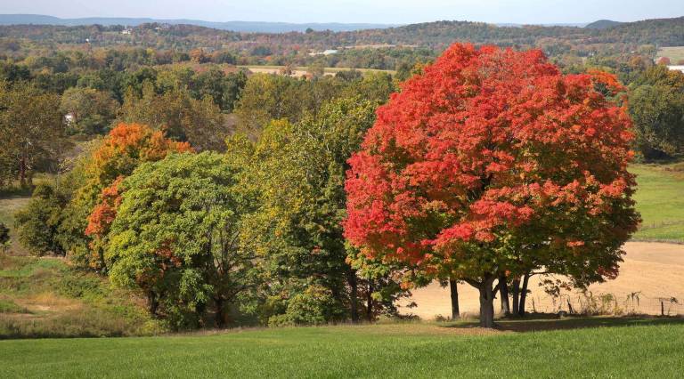 The color of autumn The color of autumn